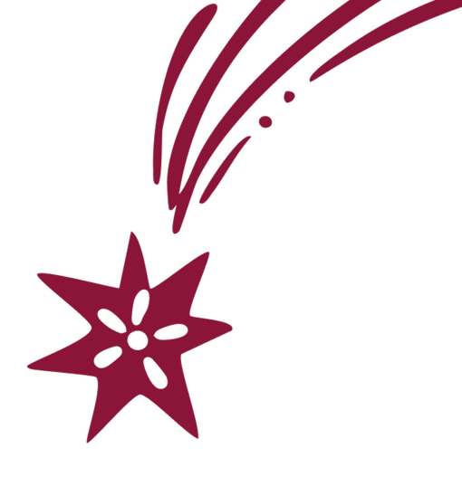 Wonder Works Star Icon